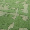 Louis De Poortere tapijt LX 9202 Structures Baobab Perrier Green zoom 3