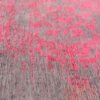 tapijt Louis De Poortere LX8261 Fading World Medaillon Pink Flash zoom